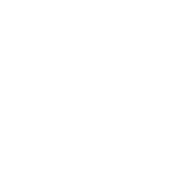 Logo der Rhein Neckar Löwen